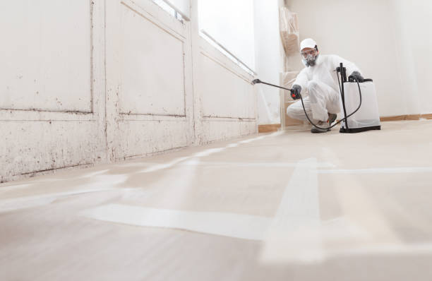 24/7 Emergency Attic Mold Removal experts in Jackson, NJ